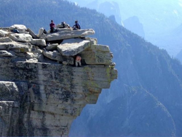 Bildschirmarbeiter - Picdump 20.01.2012