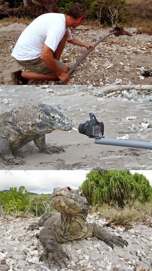 Bildschirmarbeiter - Picdump 20.01.2012