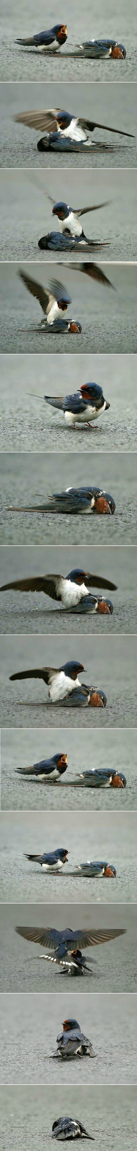 Bildschirmarbeiter - Picdump 20.01.2012