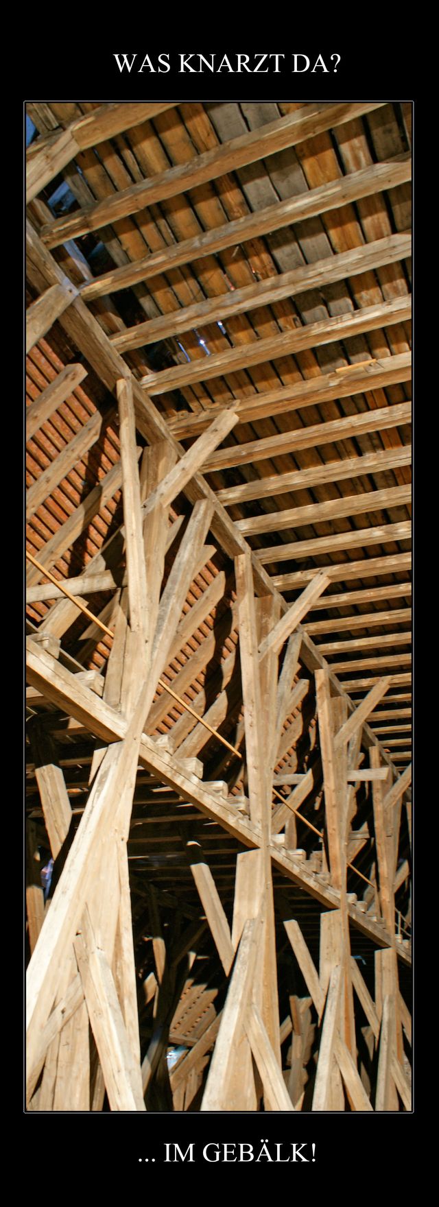 Bildschirmarbeiter - Picdump 20.01.2012