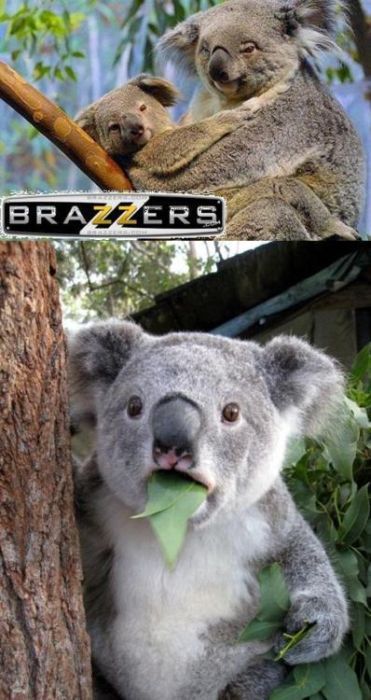 Bildschirmarbeiter - Picdump 03.02.2012