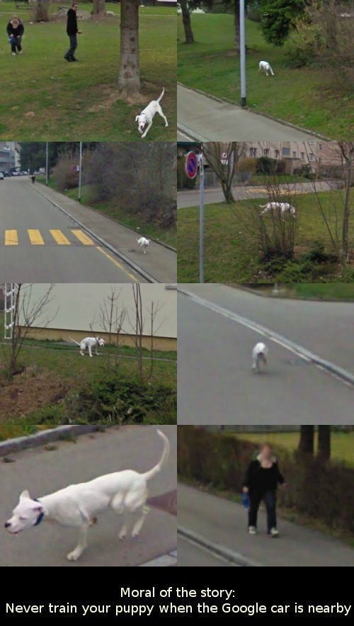 Bildschirmarbeiter - Picdump 03.02.2012