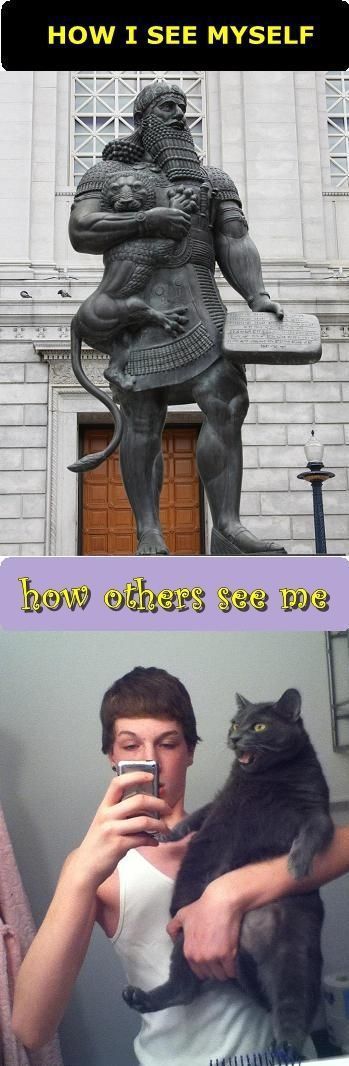 Bildschirmarbeiter - Picdump 03.02.2012