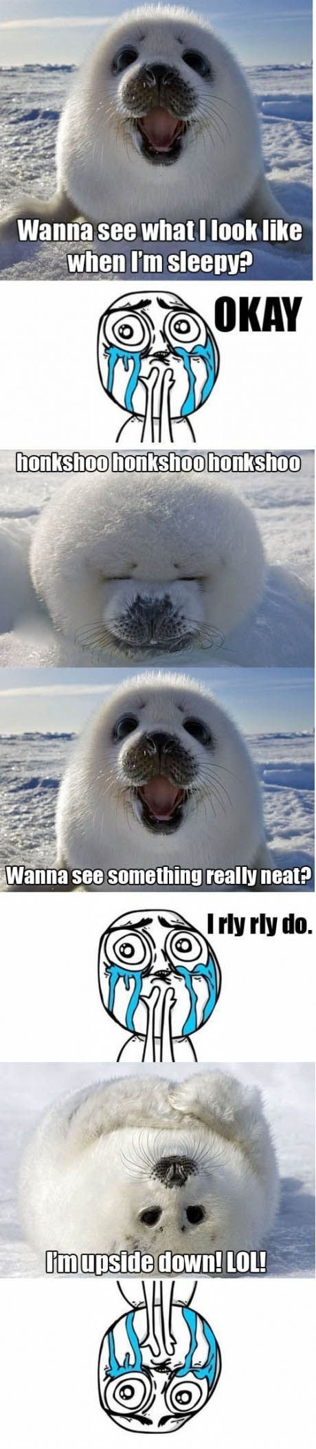 Bildschirmarbeiter - Picdump 03.02.2012