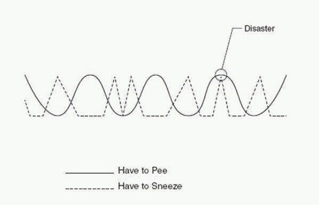 Bildschirmarbeiter - Picdump 10.02.2012