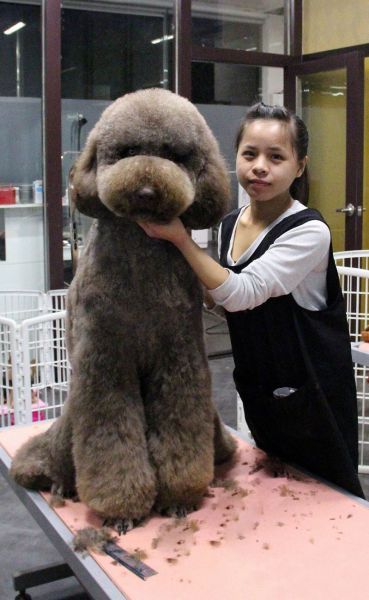 Bildschirmarbeiter - Picdump 10.02.2012