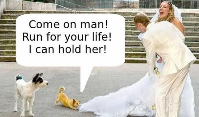 Bildschirmarbeiter - Picdump 10.02.2012