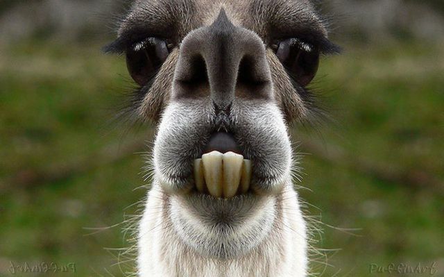 Bildschirmarbeiter - Picdump 10.02.2012