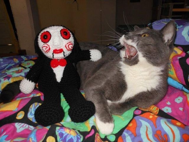 Bildschirmarbeiter - Picdump 10.02.2012