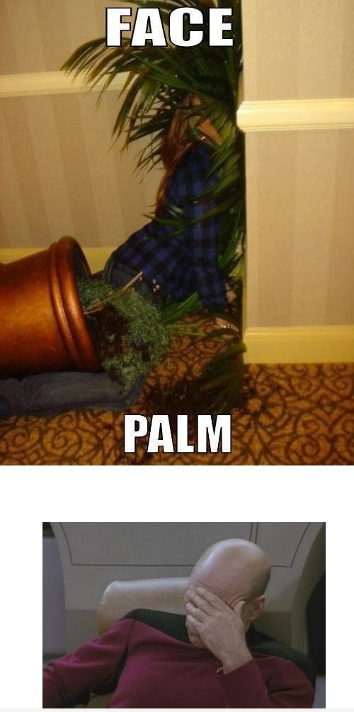 Bildschirmarbeiter - Picdump 10.02.2012