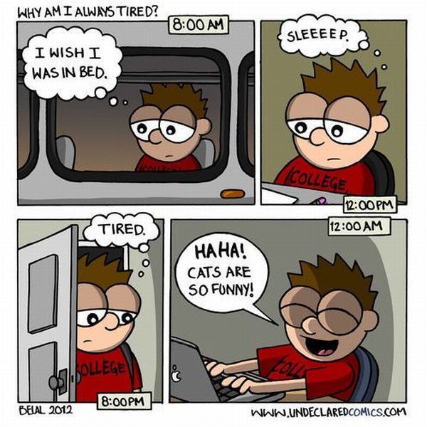 Bildschirmarbeiter - Picdump 10.02.2012