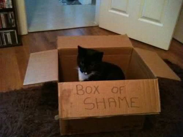 Bildschirmarbeiter - Picdump 17.02.2012