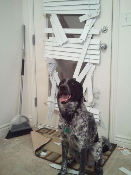 Bildschirmarbeiter - Picdump 17.02.2012