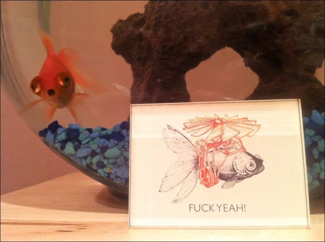 Bildschirmarbeiter - Picdump 17.02.2012