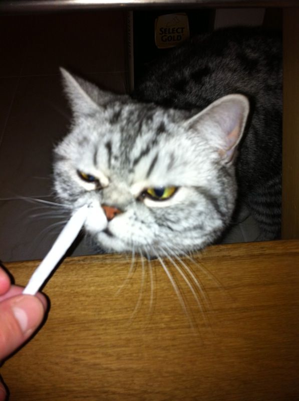 Bildschirmarbeiter - Picdump 17.02.2012