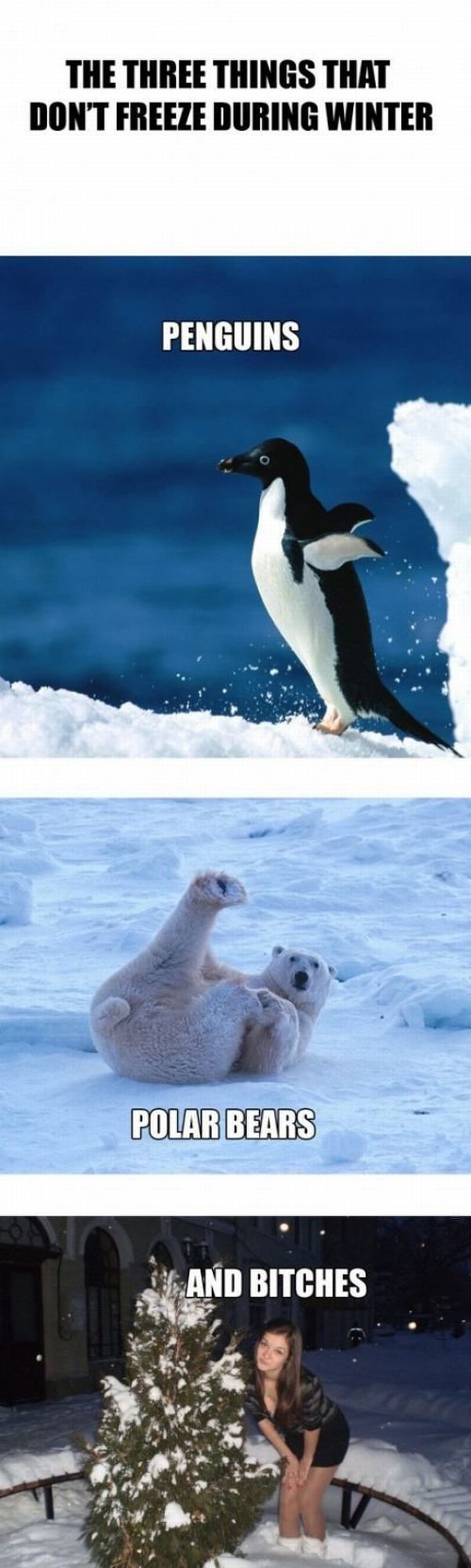 Bildschirmarbeiter - Picdump 17.02.2012