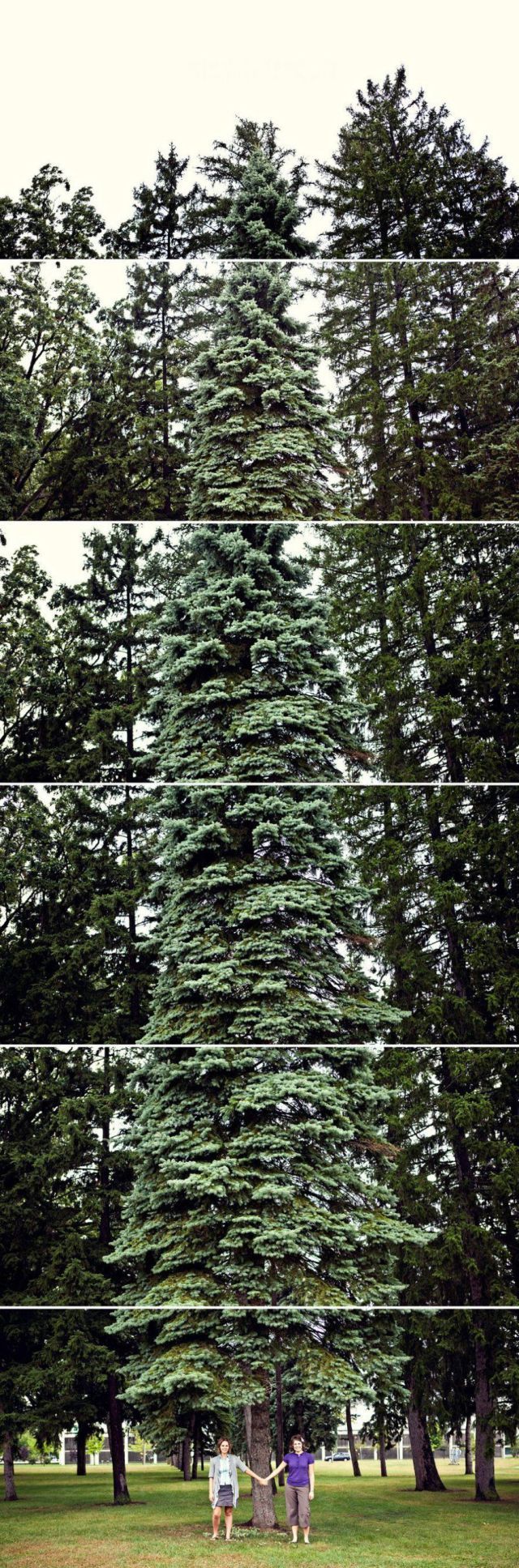 Bildschirmarbeiter - Picdump 17.02.2012