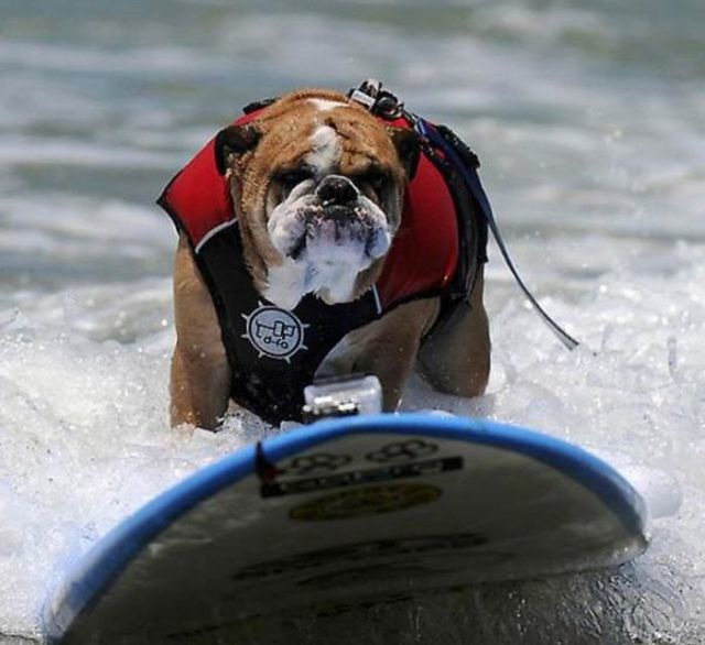 Bildschirmarbeiter - Picdump 24.02.2012