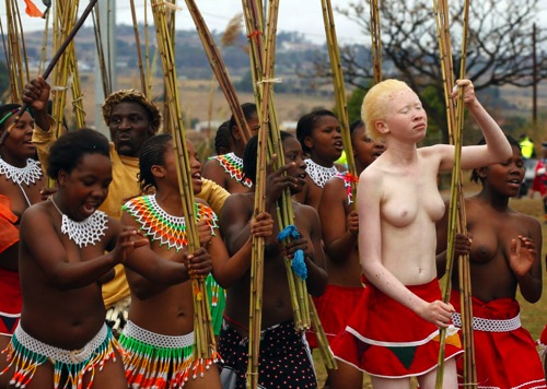 Bildschirmarbeiter - Picdump 24.02.2012