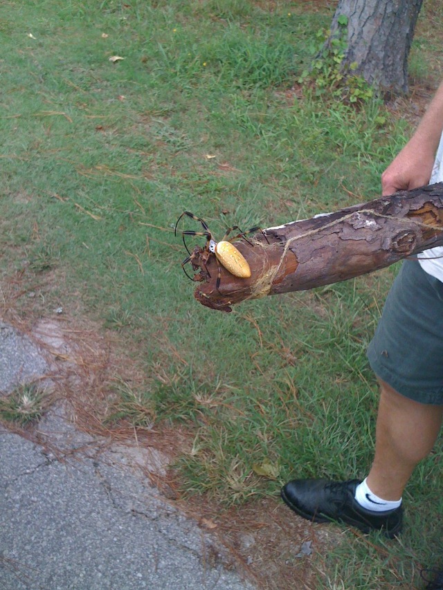 Bildschirmarbeiter - Picdump 24.02.2012