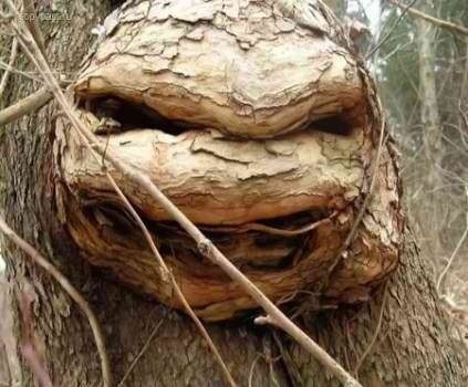 Bildschirmarbeiter - Picdump 24.02.2012