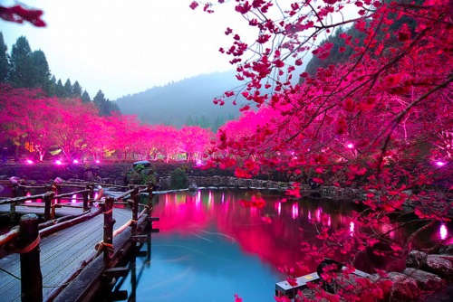 Bildschirmarbeiter - Picdump 24.02.2012