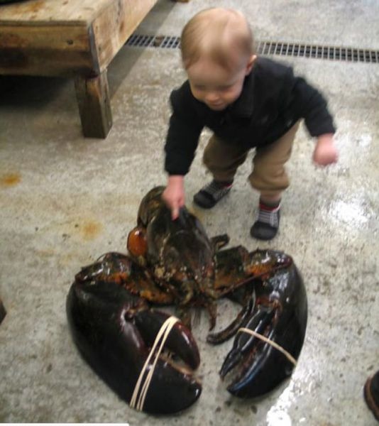 Bildschirmarbeiter - Picdump 02.03.2012