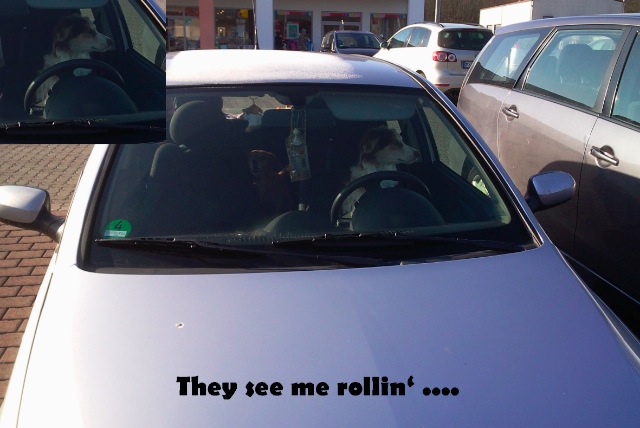 Bildschirmarbeiter - Picdump 02.03.2012