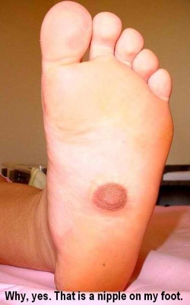 Bildschirmarbeiter - Picdump 02.03.2012