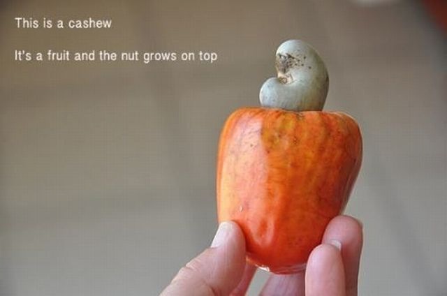 Bildschirmarbeiter - Picdump 09.03.2012