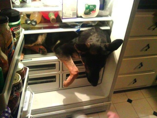 Bildschirmarbeiter - Picdump 09.03.2012