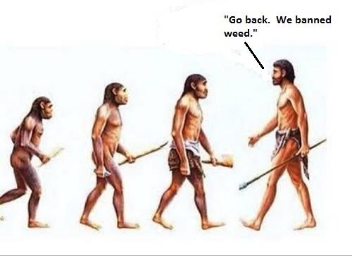 Bildschirmarbeiter - Picdump 16.03.2012