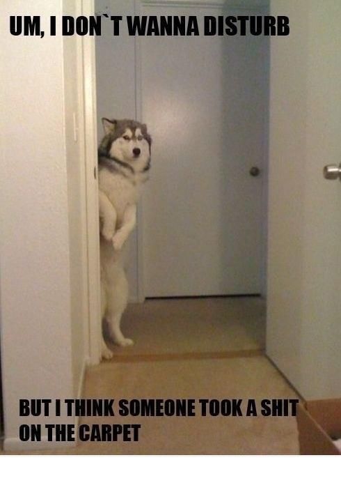 Bildschirmarbeiter - Picdump 16.03.2012