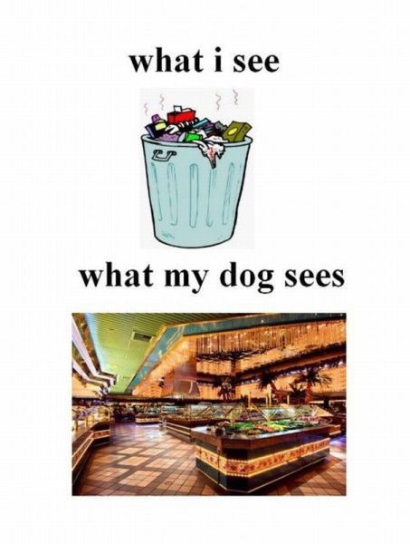 Bildschirmarbeiter - Picdump 16.03.2012