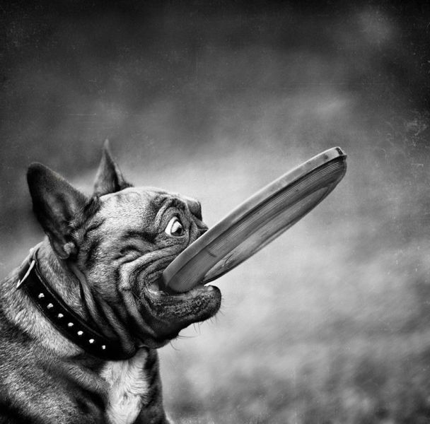 Bildschirmarbeiter - Picdump 16.03.2012