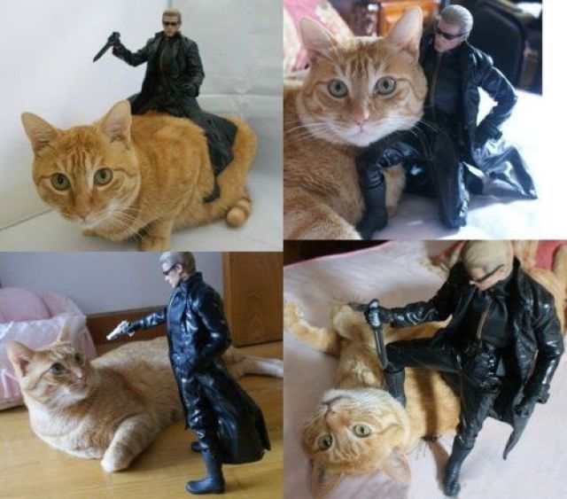 Bildschirmarbeiter - Picdump 16.03.2012