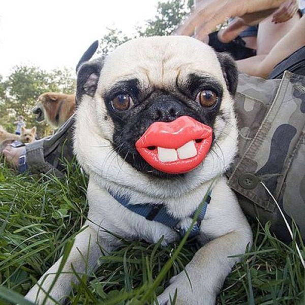 Bildschirmarbeiter - Picdump 16.03.2012