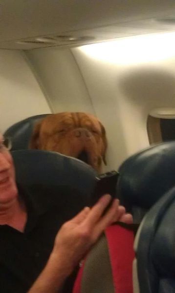 Bildschirmarbeiter - Picdump 23.03.2012