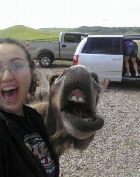 Bildschirmarbeiter - Picdump 23.03.2012