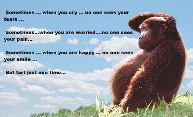 Bildschirmarbeiter - Picdump 23.03.2012