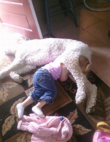 Bildschirmarbeiter - Picdump 23.03.2012