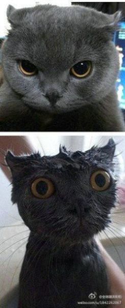 Bildschirmarbeiter - Picdump 30.03.2012