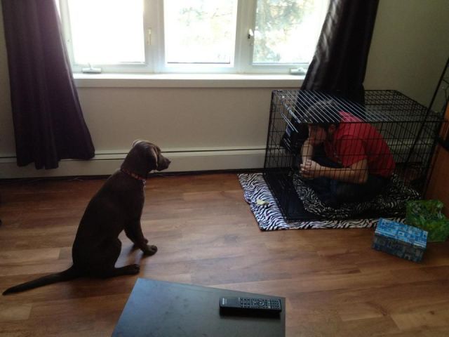 Bildschirmarbeiter - Picdump 30.03.2012