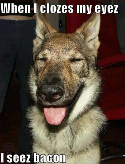 Bildschirmarbeiter - Picdump 30.03.2012