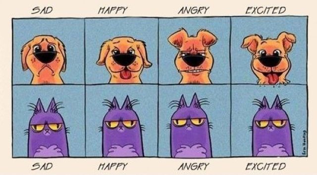 Bildschirmarbeiter - Picdump 30.03.2012