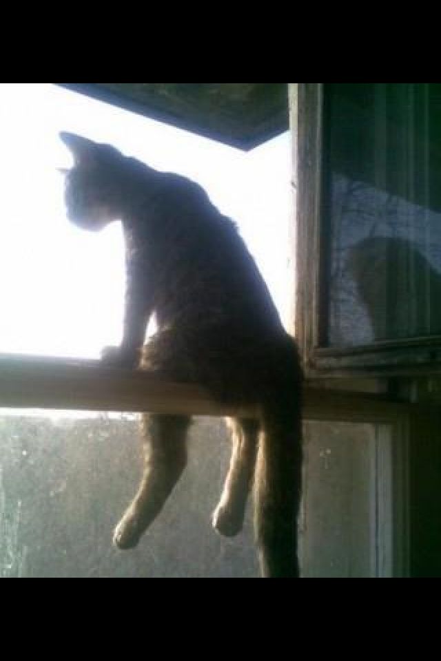 Bildschirmarbeiter - Picdump 30.03.2012