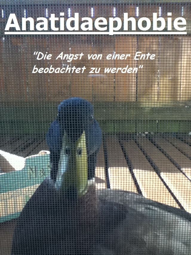 Bildschirmarbeiter - Picdump 30.03.2012