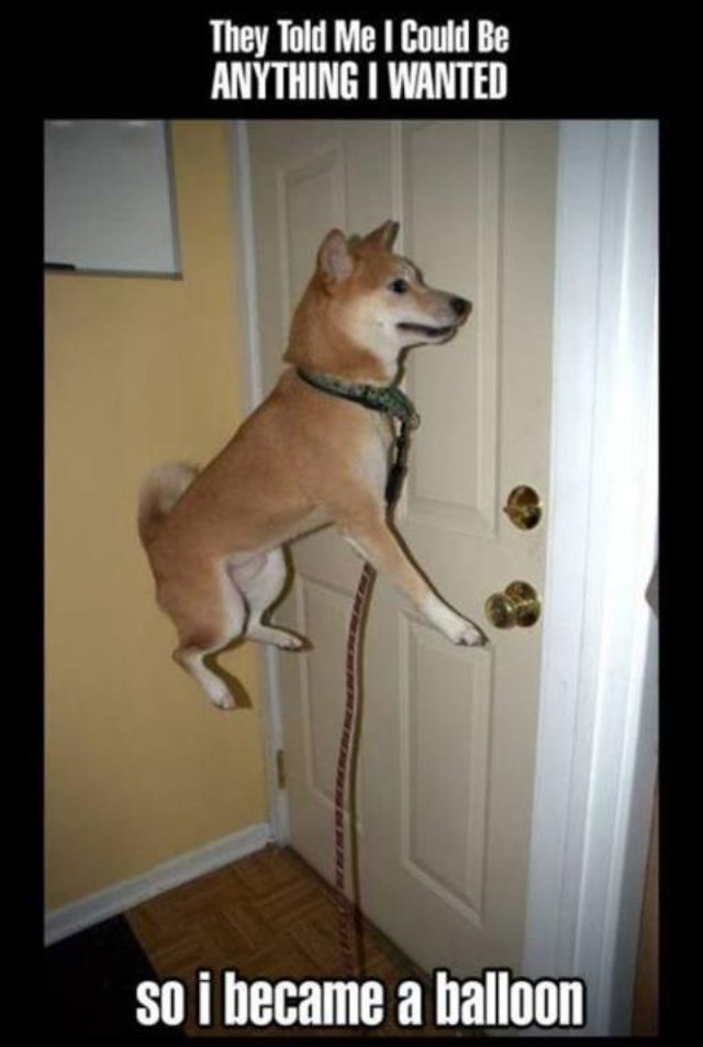 Bildschirmarbeiter - Picdump 30.03.2012