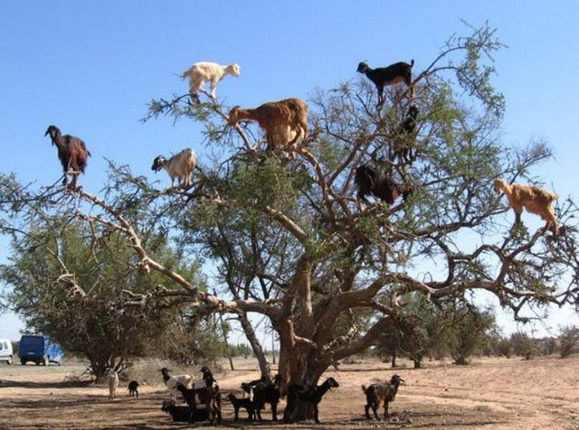 Bildschirmarbeiter - Picdump 30.03.2012