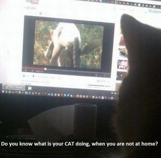 Bildschirmarbeiter - Picdump 13.04.2012